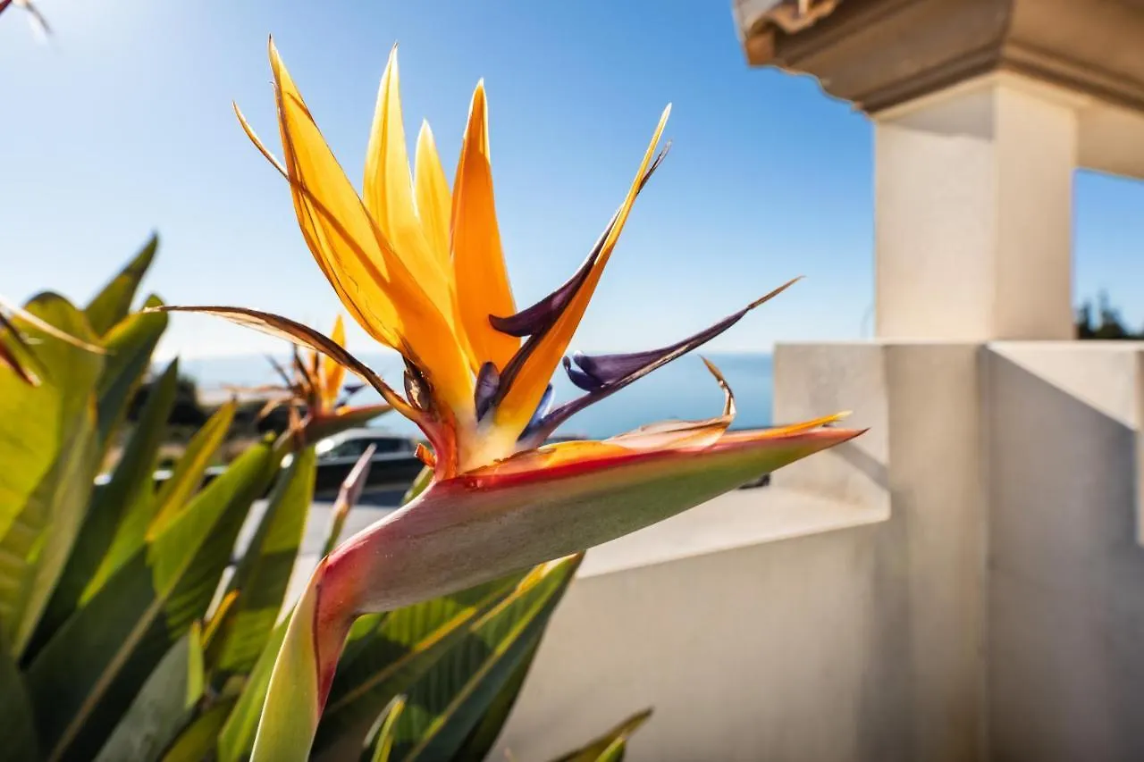 Weforyou Relax And Seaview Apartment Benalmadena